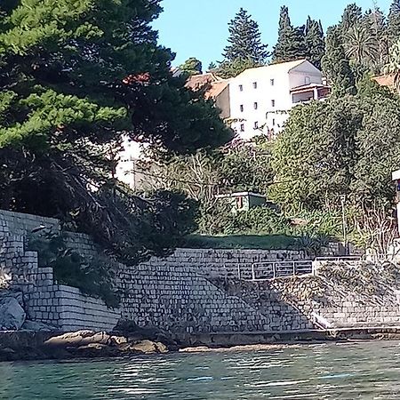 Villa Sea Dream Kolocep Gornje Celo Eksteriør billede