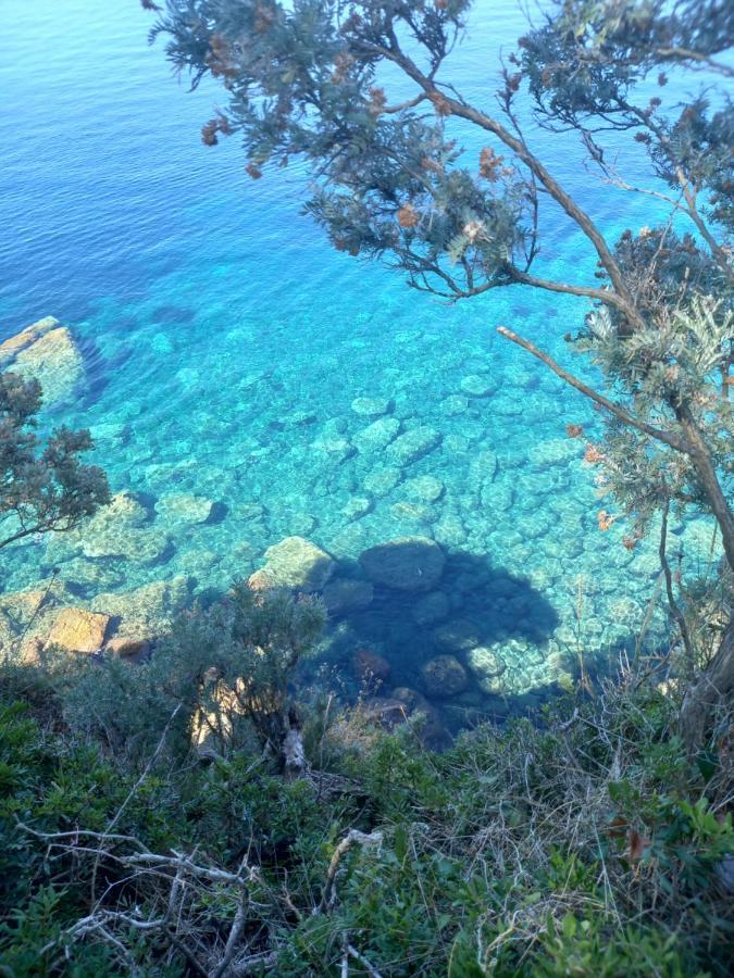 Villa Sea Dream Kolocep Gornje Celo Eksteriør billede