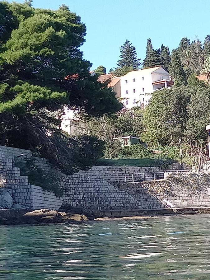 Villa Sea Dream Kolocep Gornje Celo Eksteriør billede